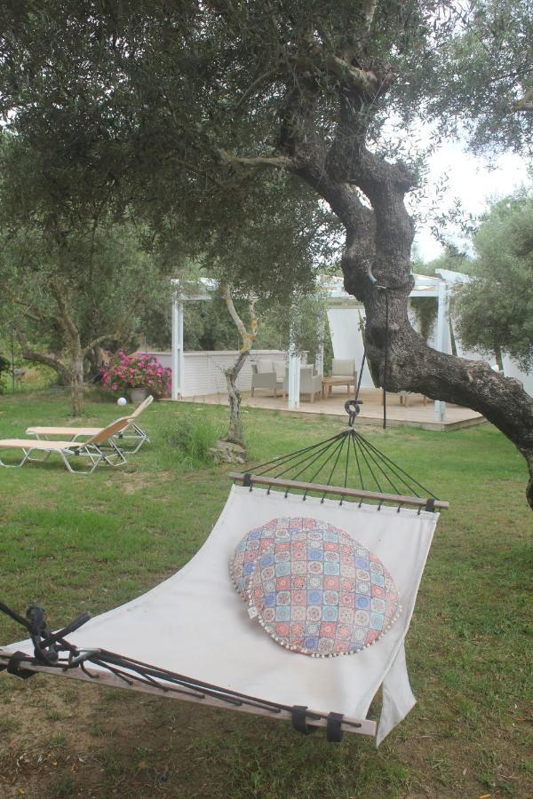 Rodis Studios Tsilivi  Luaran gambar